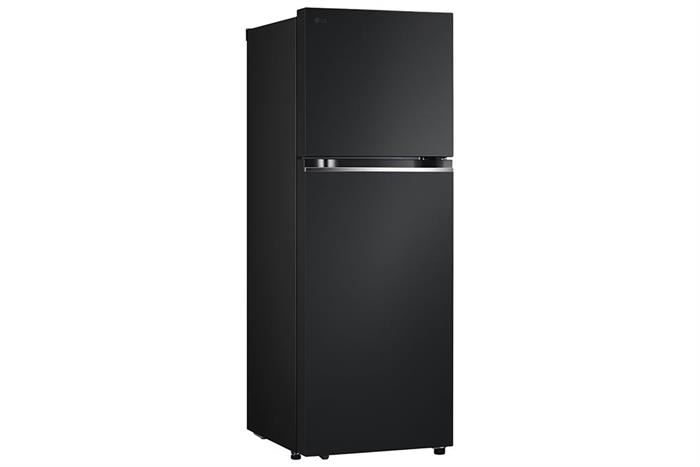 Tủ lạnh LG 315 lít Inverter LTB31BLMA