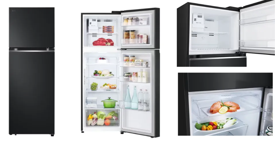 Tủ lạnh LG 315 lít LTB31BLMA thiết kế